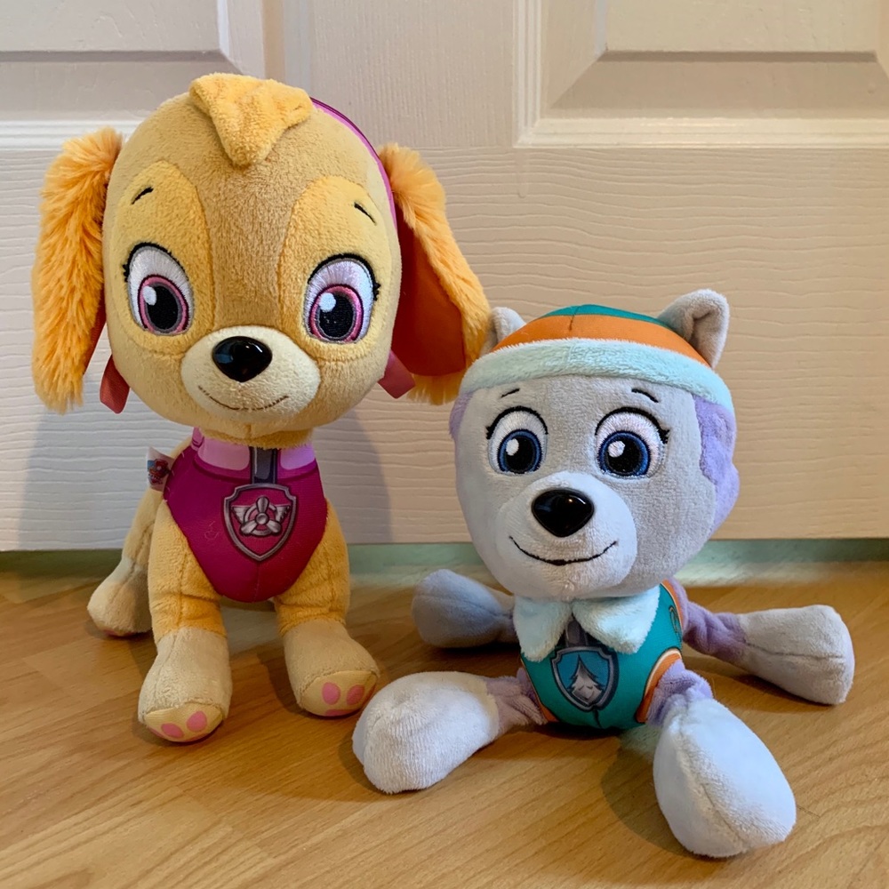 Paw Patrol’s Skye and Everest